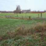 Tussen de graslanden