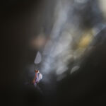 Hymenopus coronatus Foto: Marianne Brouwer